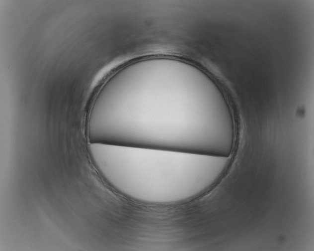 X0000115581222200911100946