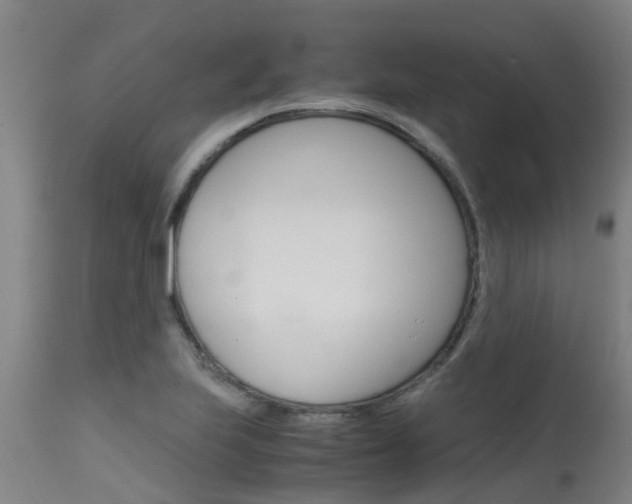 X0000115581223200911100946