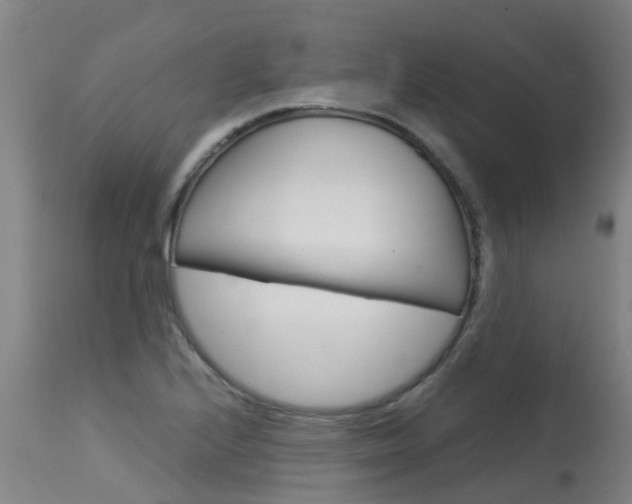 X0000115581224200911100946
