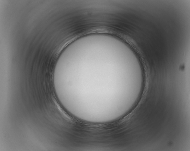 X0000115581225200911100946