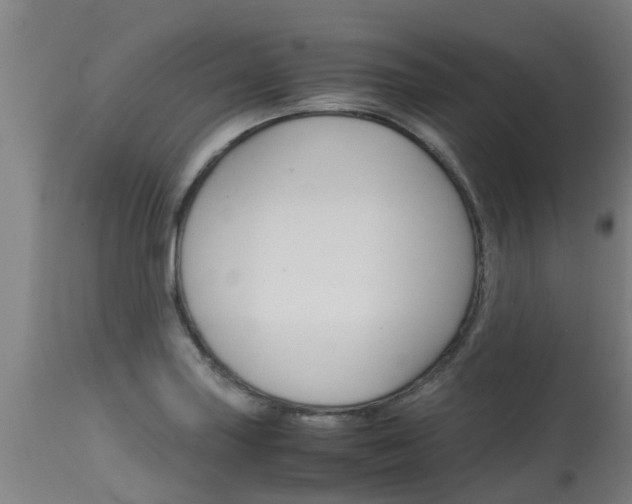 X0000115581227200911100946