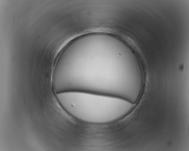 X0000115581228200911100946