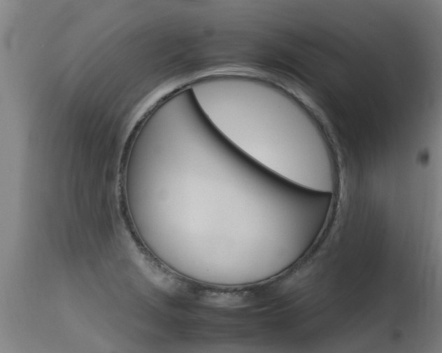 X0000115581229200911100946