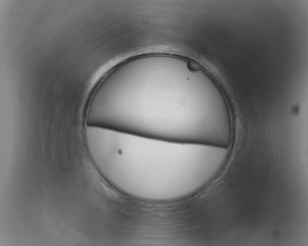 X0000115581230200911100946