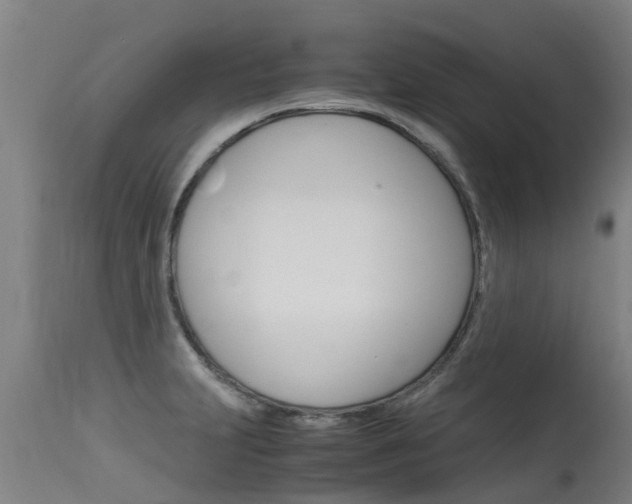 X0000115581231200911100946