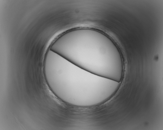 X0000115581232200911100946