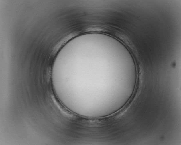 X0000115581233200911100946