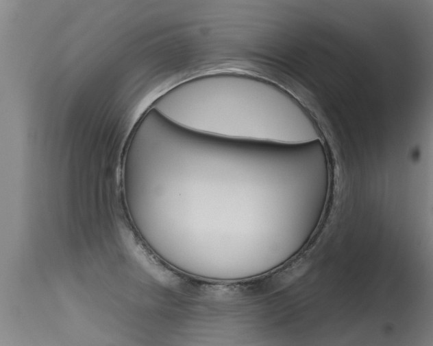 X0000115581234200911100946