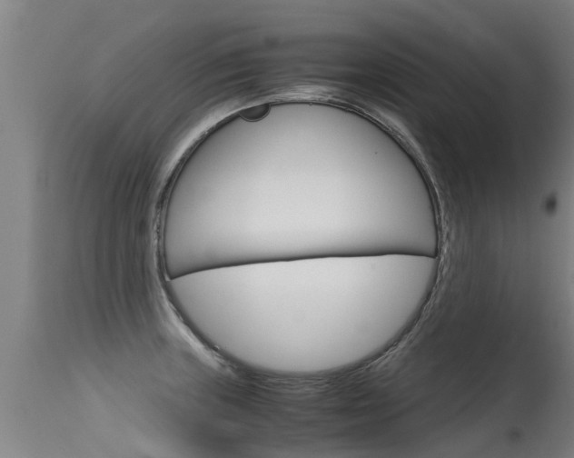 X0000115581235200911100946