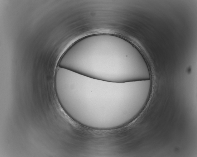 X0000115581236200911100946
