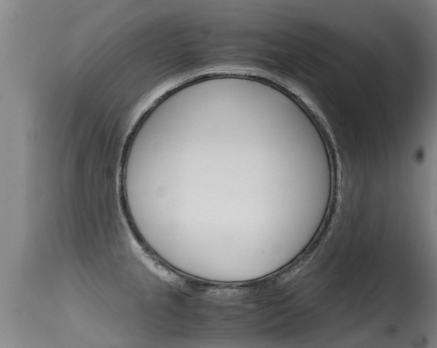 X0000115581237200911100946