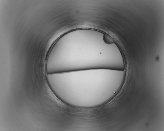 X0000115581238200911100946
