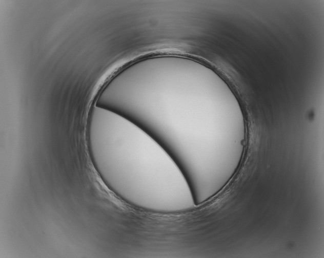 X0000115581240200911100946