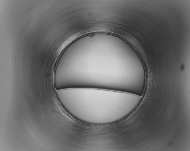 X0000115581242200911100947