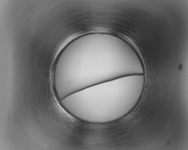 X0000115581243200911100947