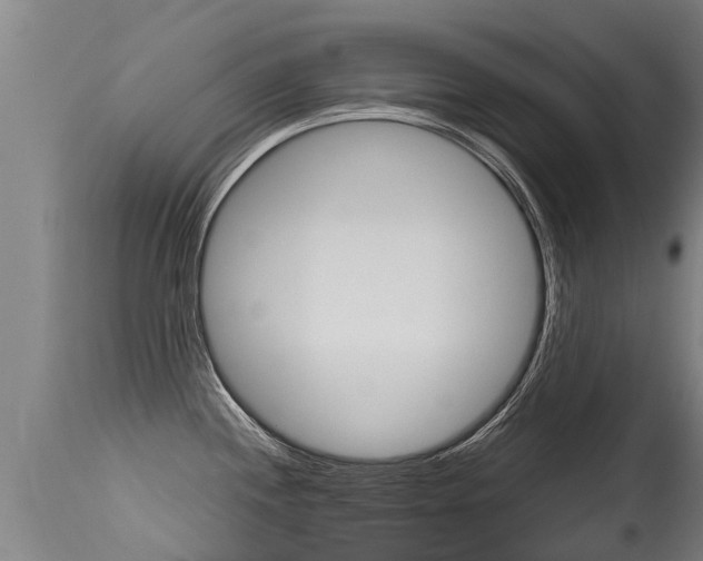 X0000115581244200911100947
