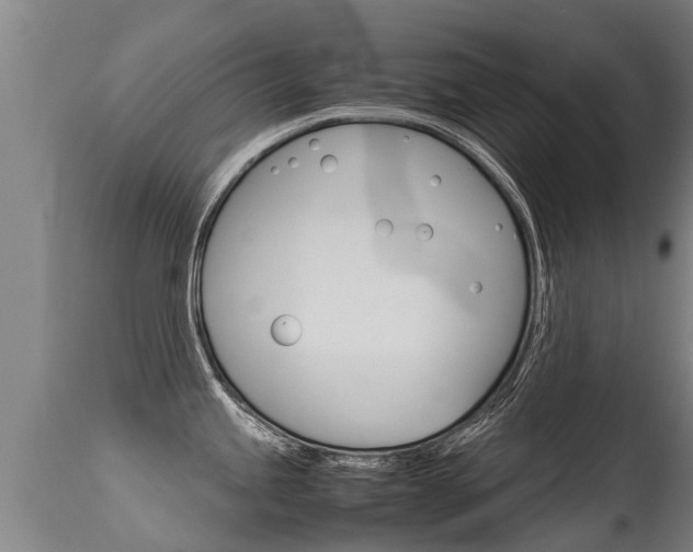 X0000115581245200911100947