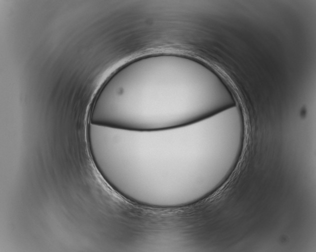 X0000115581246200911100947