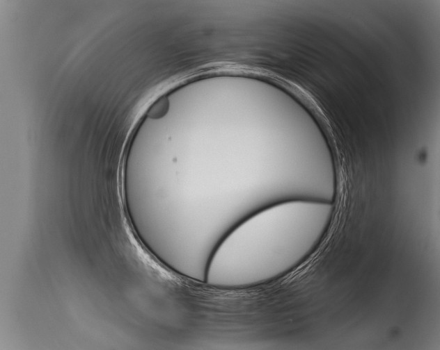 X0000115581247200911100947