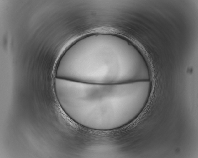 X0000115581248200911100947
