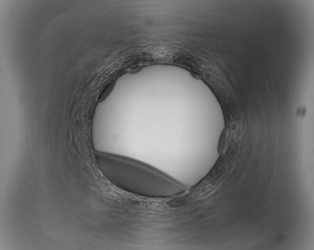X0000115581249200911100946