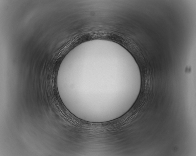 X0000115581250200911100946