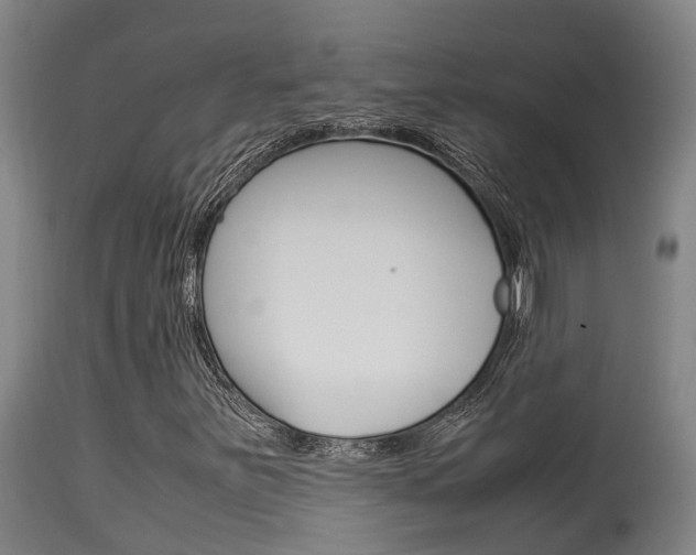 X0000115581251200911100946