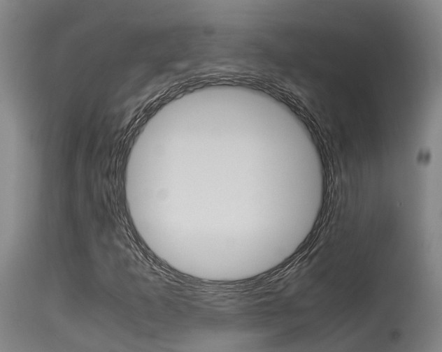 X0000115581253200911100946