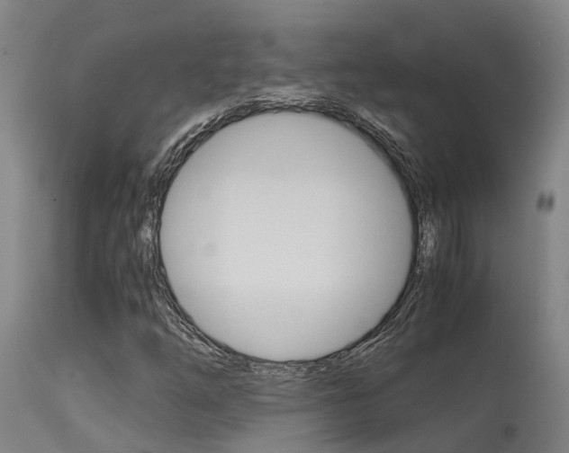 X0000115581254200911100946