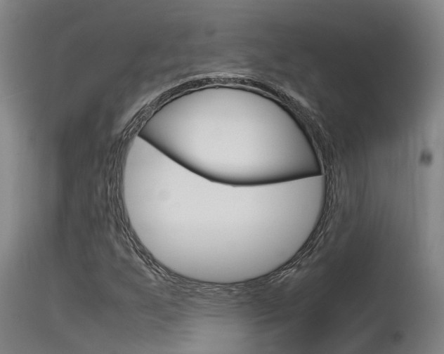 X0000115581255200911100946