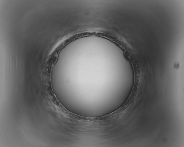 X0000115581256200911100946