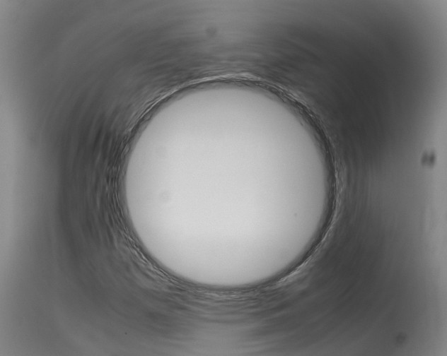 X0000115581257200911100946