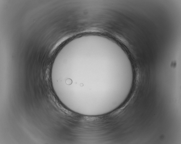 X0000115581258200911100946