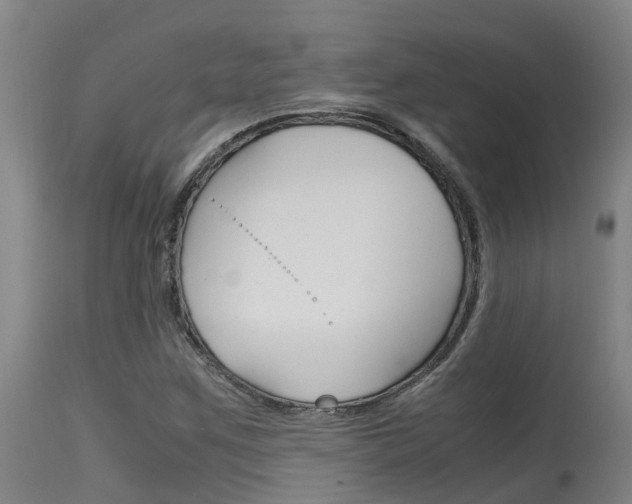 X0000115581259200911100946