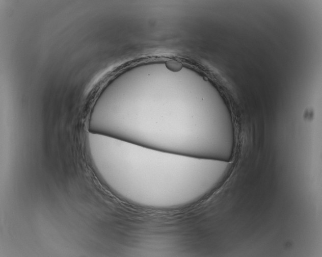 X0000115581262200911100946