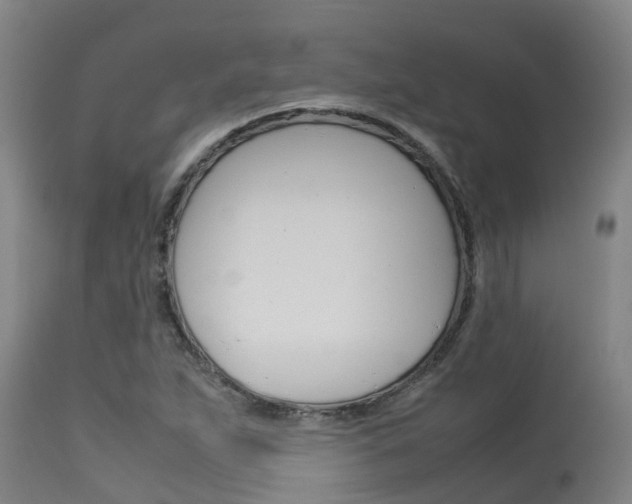 X0000115581263200911100946