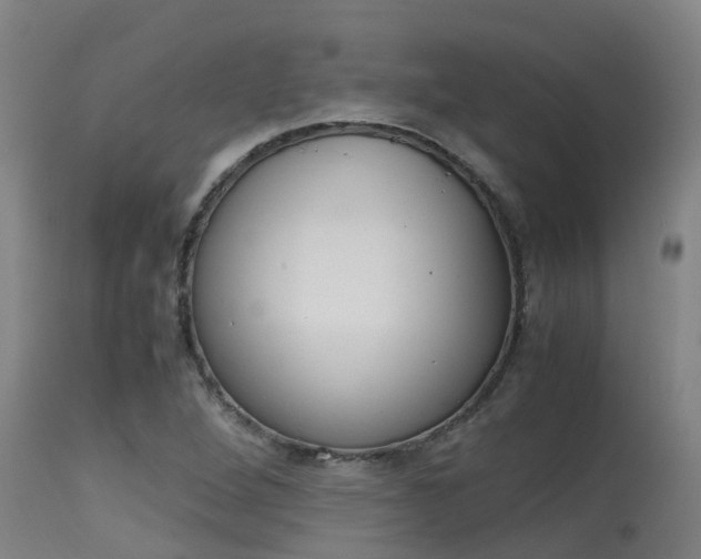 X0000115581264200911100946