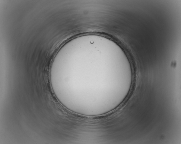 X0000115581265200911100946