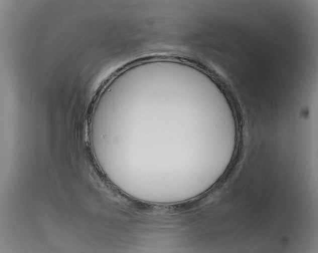 X0000115581267200911100946
