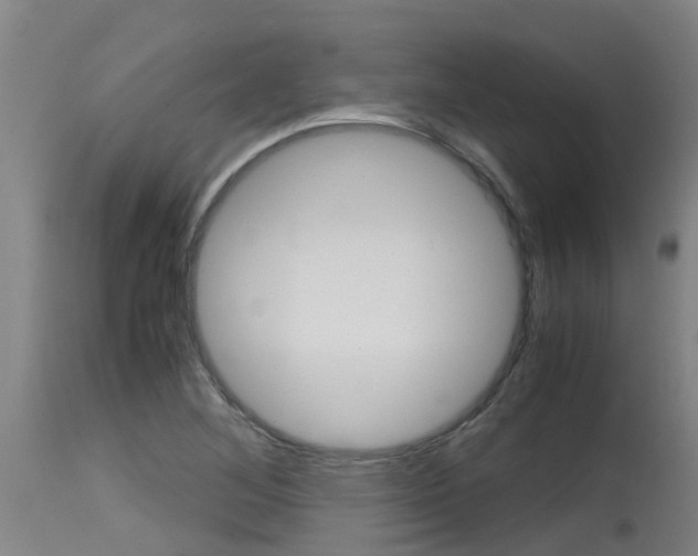 X0000115581268200911100946