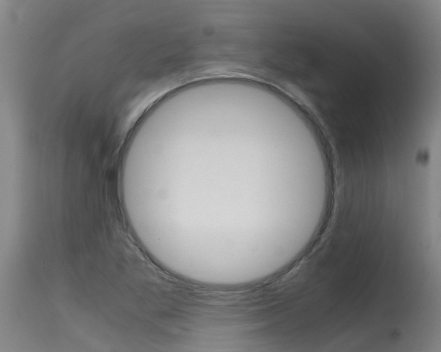X0000115581269200911100946