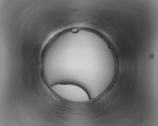 X0000115581270200911100946