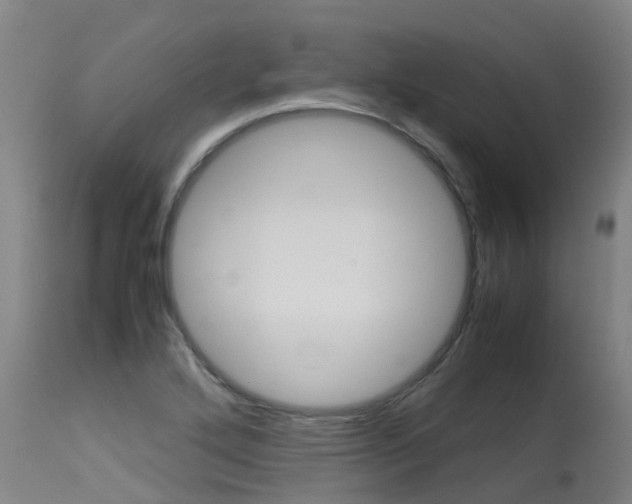 X0000115581272200911100946