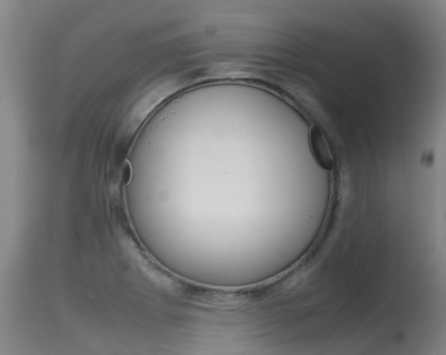 X0000115581273200911100946