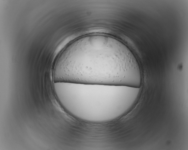 X0000115581274200911100946