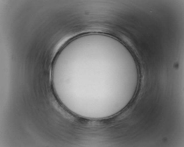 X0000115581275200911100946