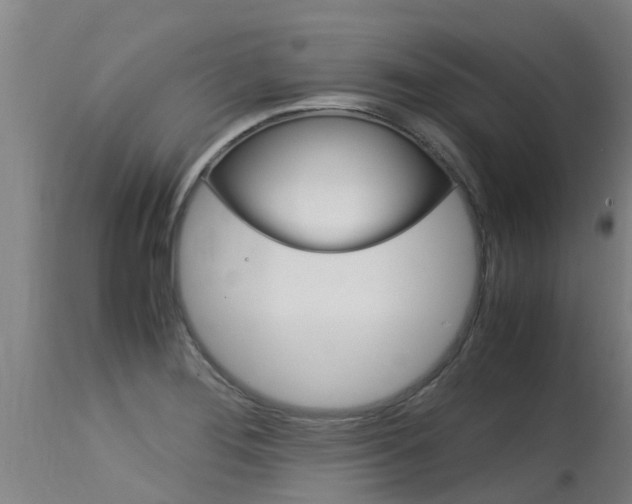 X0000115581276200911100946