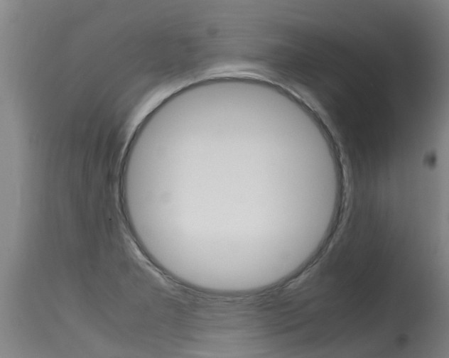 X0000115581277200911100946