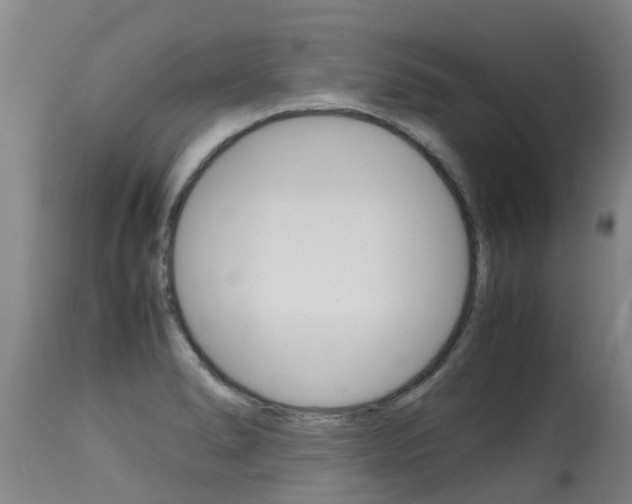 X0000115581278200911100946