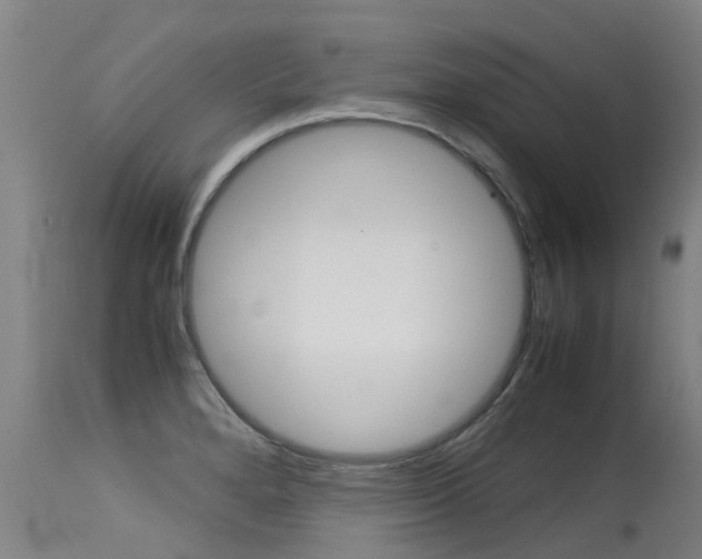 X0000115581280200911100946